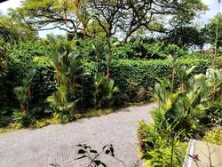 Bin Tong Park (D10), Detached #545980451